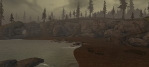 Nebelverhüllte Küste